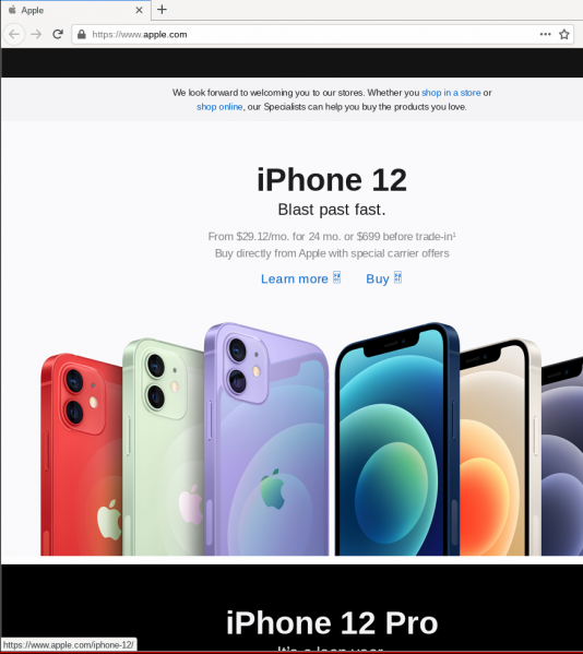 File:Realapplewebsite.png